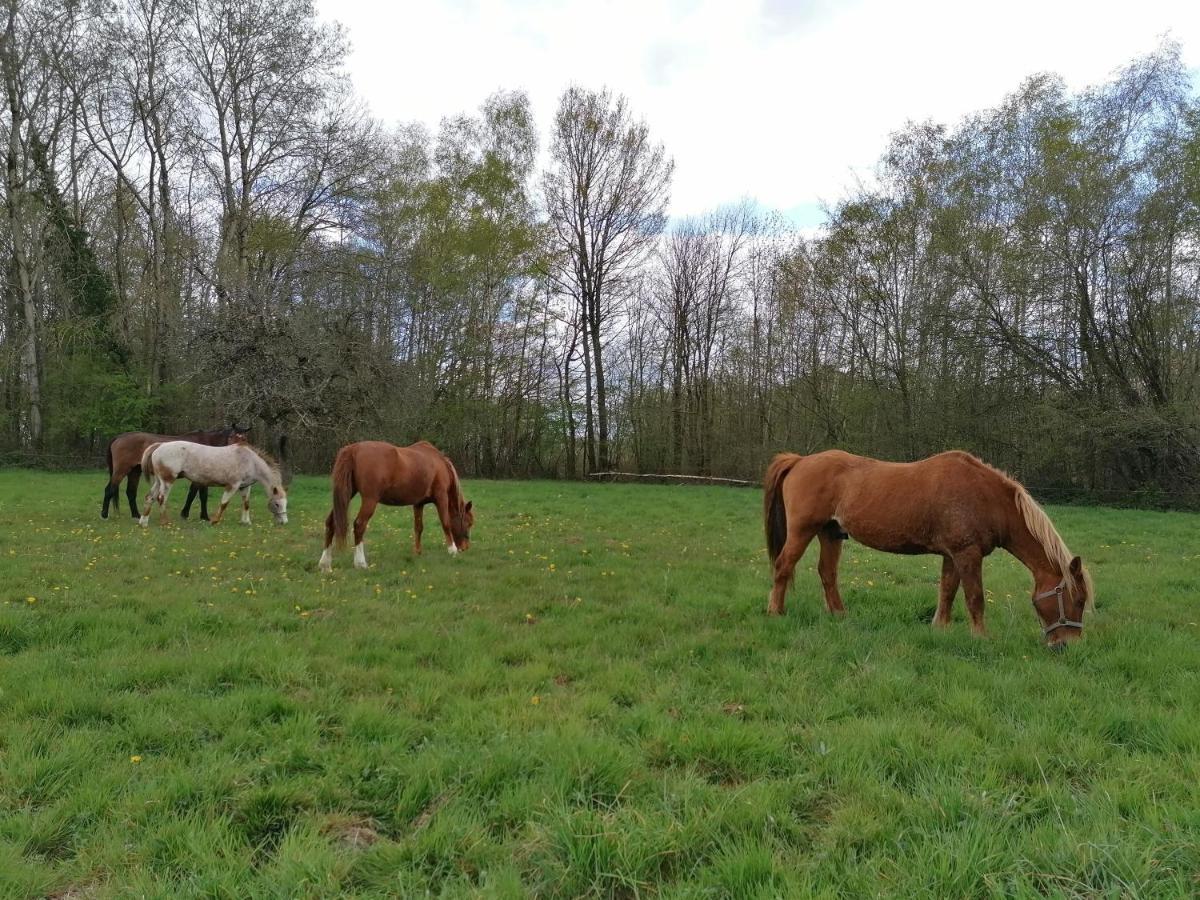 Gite En Creuse Moutier-Malcard Exterior foto